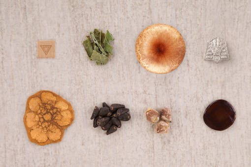types of psychedelics